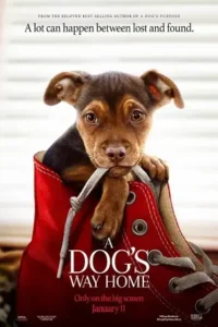 a dog s way home 2019 , TheMoviesFlix - TheMoviesFlix.Digital
