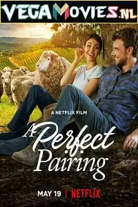 a perfect pairing 2022 , TheMoviesFlix - TheMoviesFlix.Digital