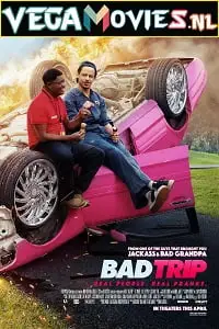bad trip 2020 , TheMoviesFlix - TheMoviesFlix.Digital