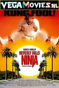 beverly hills ninja 1997 , TheMoviesFlix - TheMoviesFlix.Digital