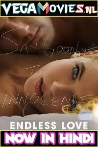 endless love 2014 , TheMoviesFlix - TheMoviesFlix.Digital