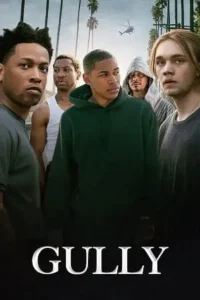gully 2019 , TheMoviesFlix - TheMoviesFlix.Digital