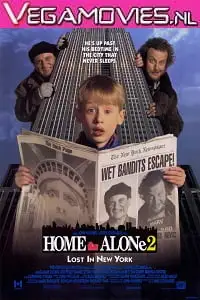 home alone 2 1992 , TheMoviesFlix - TheMoviesFlix.Digital