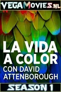 life in colour season 1 , TheMoviesFlix - TheMoviesFlix.Digital