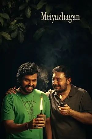 meiyazhagan 2024 , TheMoviesFlix - TheMoviesFlix.Digital