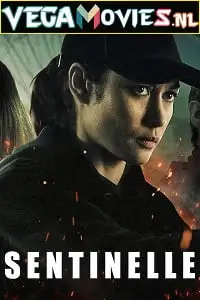 netflix sentinelle 2021 , TheMoviesFlix - TheMoviesFlix.Digital