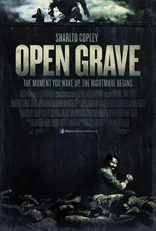 open grave 2013 , TheMoviesFlix - TheMoviesFlix.Digital