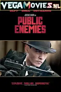 public enemies 2009 , TheMoviesFlix - TheMoviesFlix.Digital