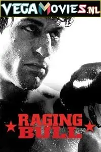 raging bull 1980 , TheMoviesFlix - TheMoviesFlix.Digital