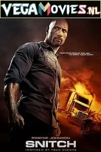 snitch 2013 , TheMoviesFlix - TheMoviesFlix.Digital