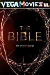 the bible 2013 , TheMoviesFlix - TheMoviesFlix.Digital