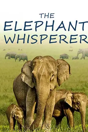 the elephant whisperers 2022 , TheMoviesFlix - TheMoviesFlix.Digital