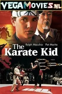 the karate kid 1984 , TheMoviesFlix - TheMoviesFlix.Digital