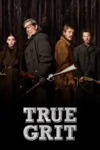 true grit 2010 , TheMoviesFlix - TheMoviesFlix.Digital