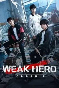 weak hero class 1 season 1 , TheMoviesFlix - TheMoviesFlix.Digital