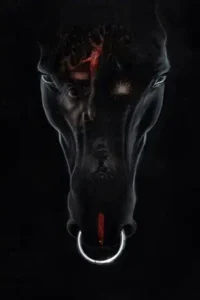 ui 2024 , MoviesFlix - MoviesFlix.Work