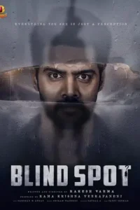 blind spot 2025 , Moviesflix