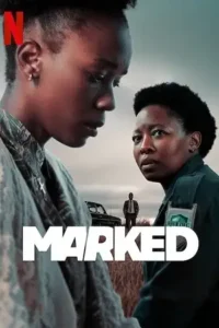 marked 2025 , Moviesflix