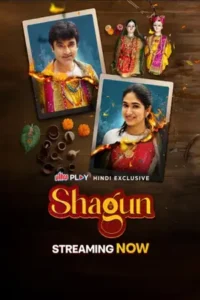 shagun 2024 , themoviesflix
