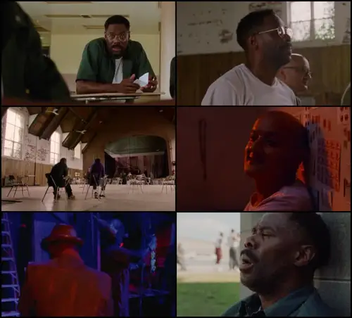 sing sing 2023 , 3moviesflix